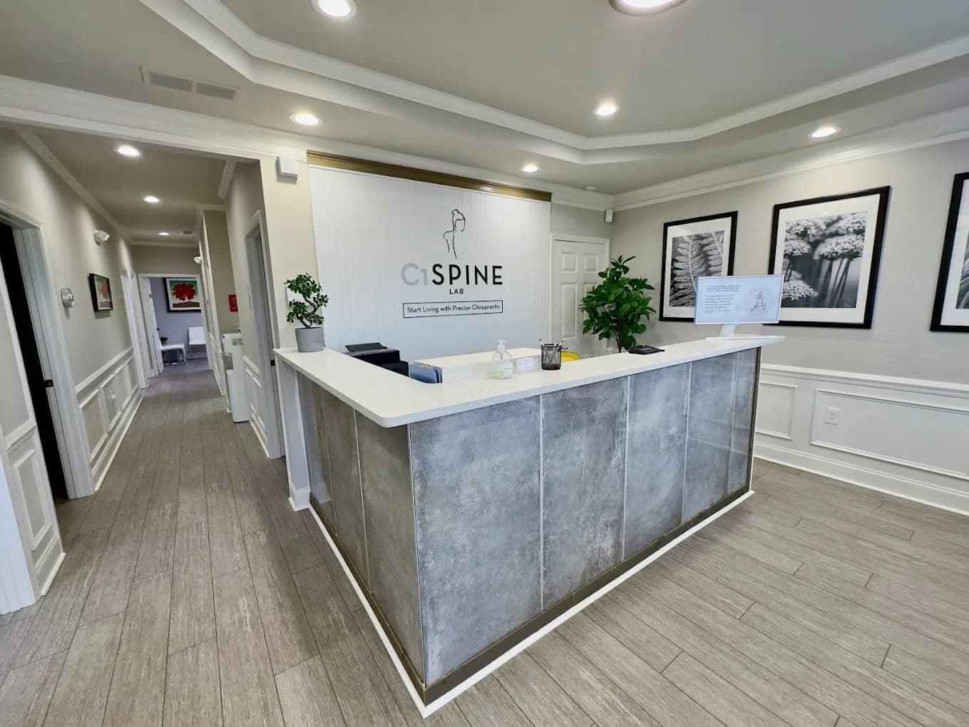 C1 Spine Lab