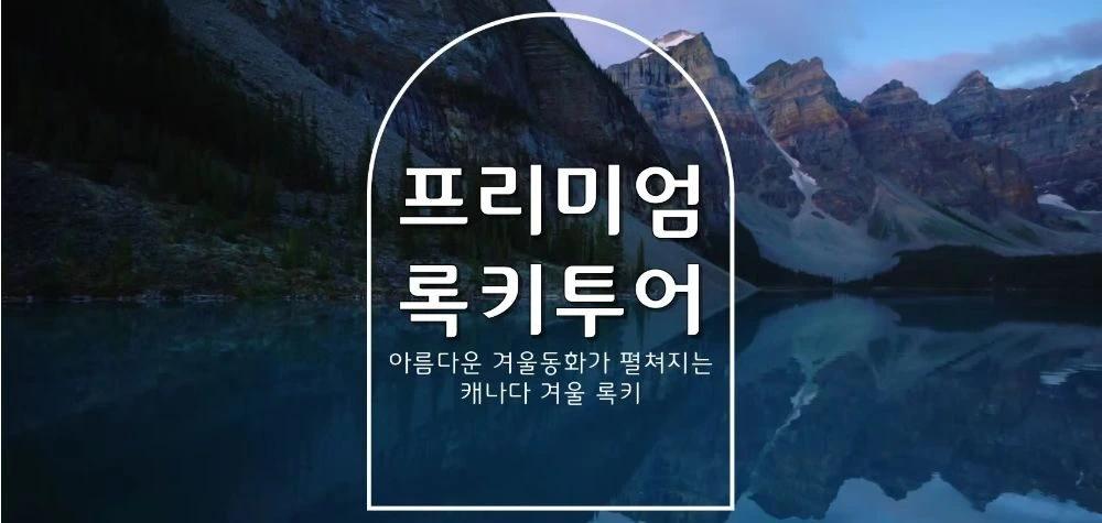 JC 투어 & 여행