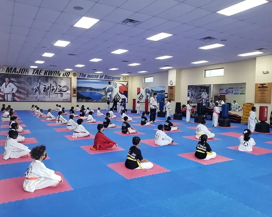 Major Tae Kwon DO