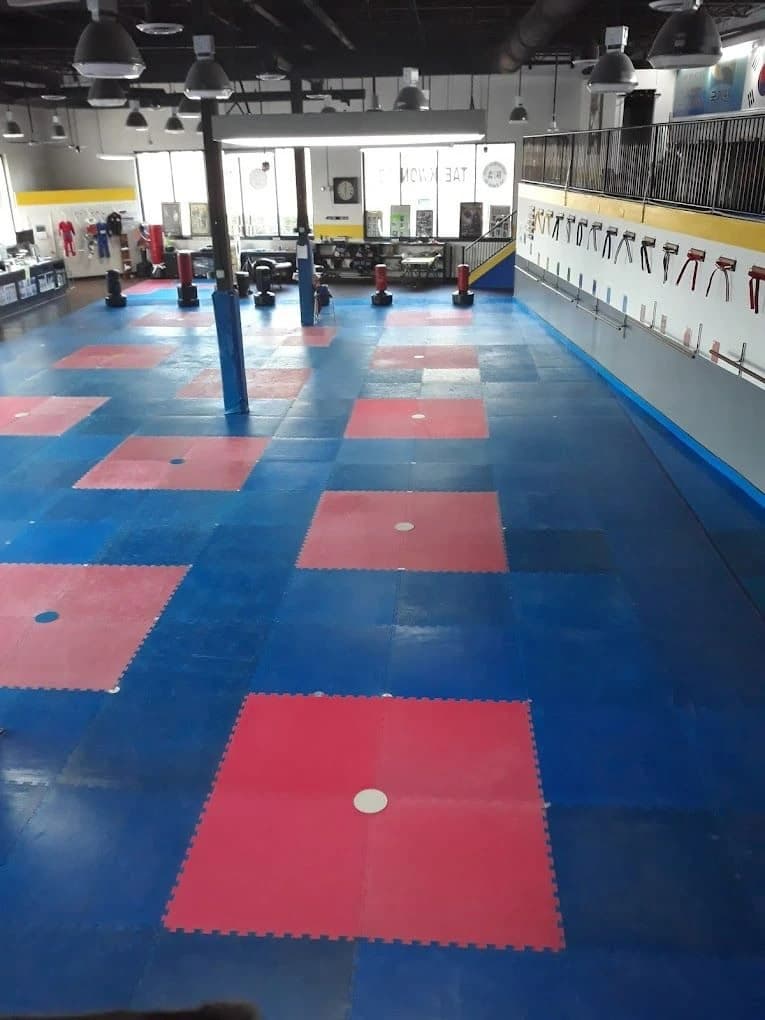 Chung’s Taekwondo Academy Total Martial Arts photo 3