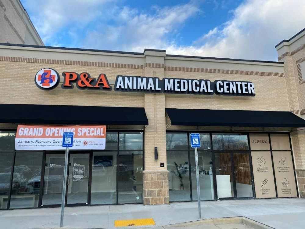 P&A Animal Medical Center (Animal Hospital) photo 2