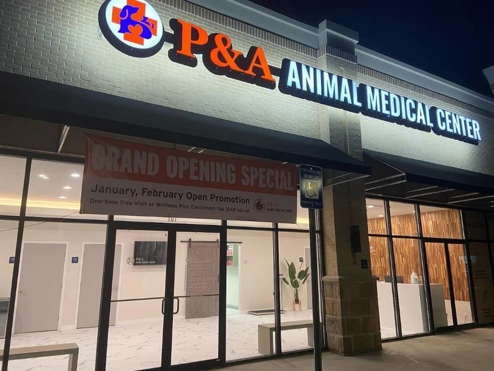 P&A Animal Medical Center (Animal Hospital) photo 3