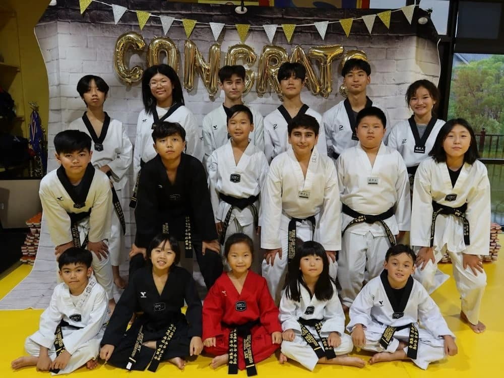 World Class Taekwondo photo 3