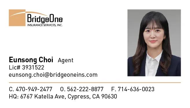 Bridgeone Insurance